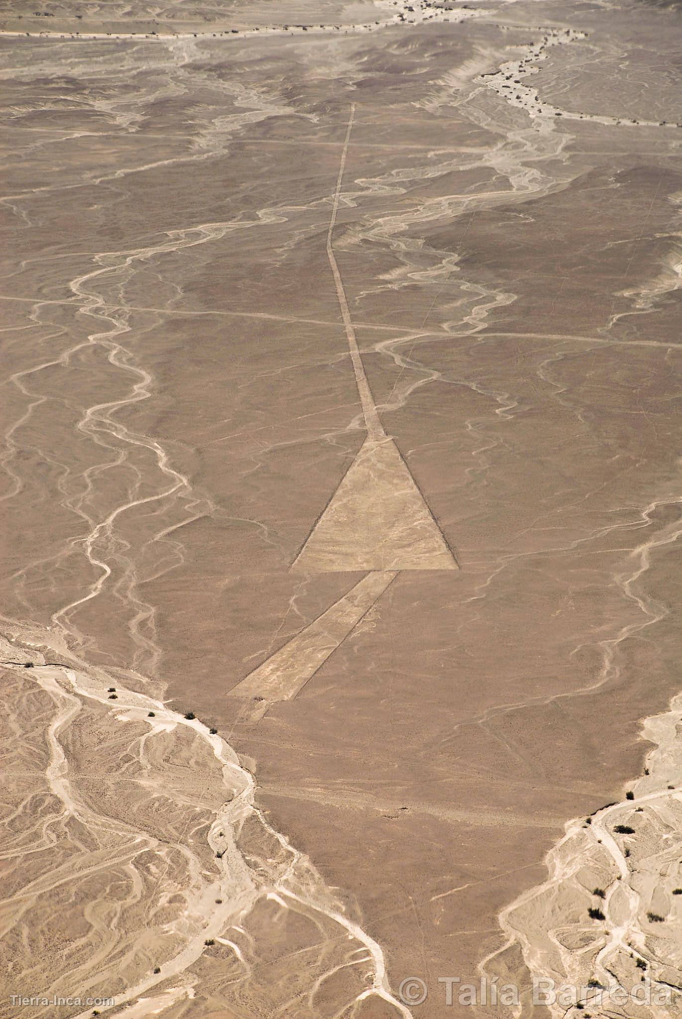 Lneas de Nazca