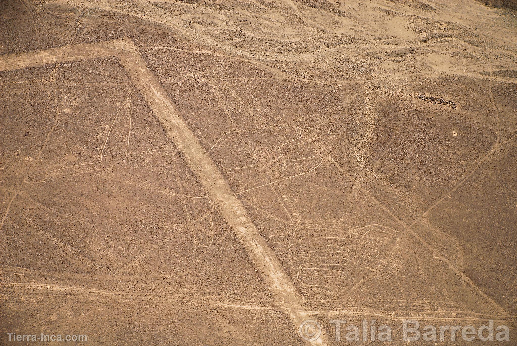 Lneas de Nazca