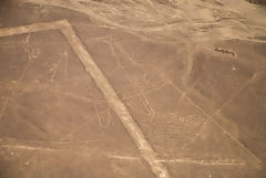 Lneas de Nazca