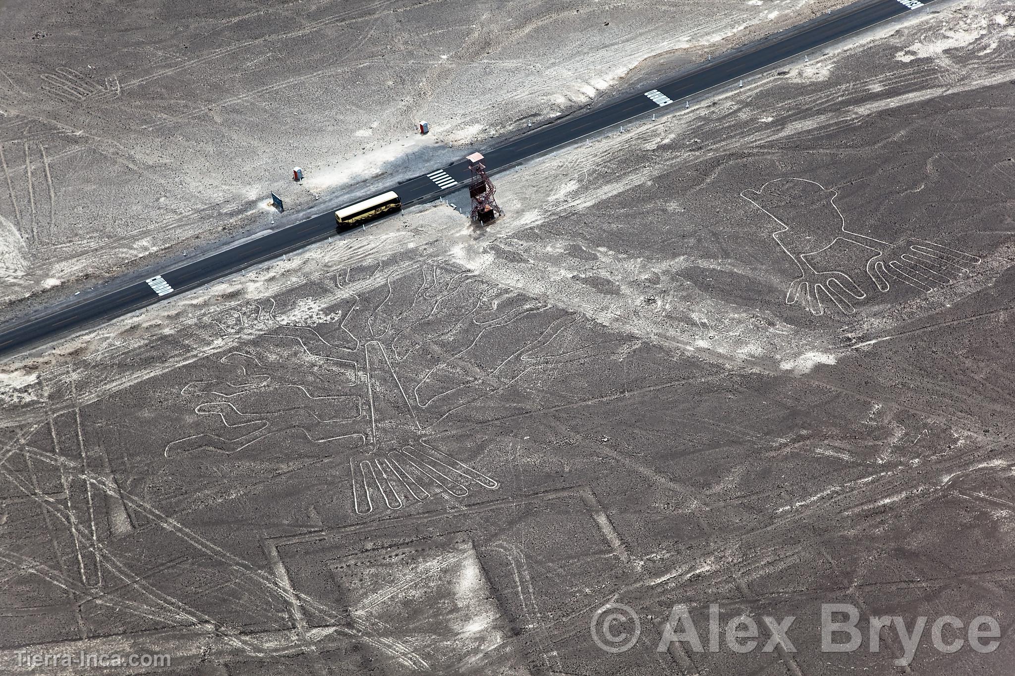 Lneas de Nazca