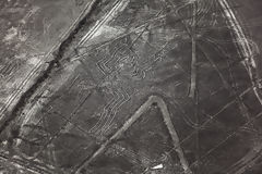 Líneas de Nazca