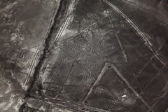 Líneas de Nazca