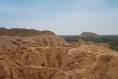 Bosque de Pmac