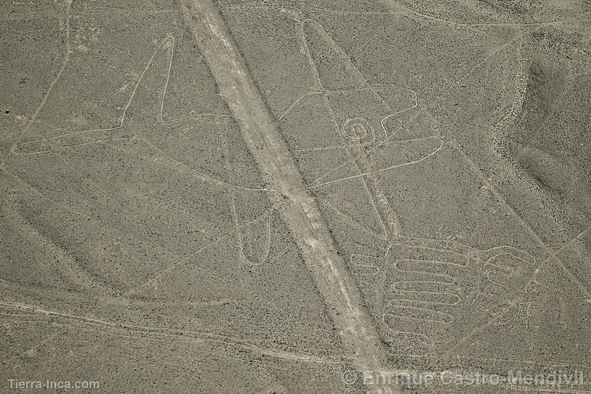 Lneas de Nazca