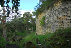 Fortaleza de Kuelap, Kulap