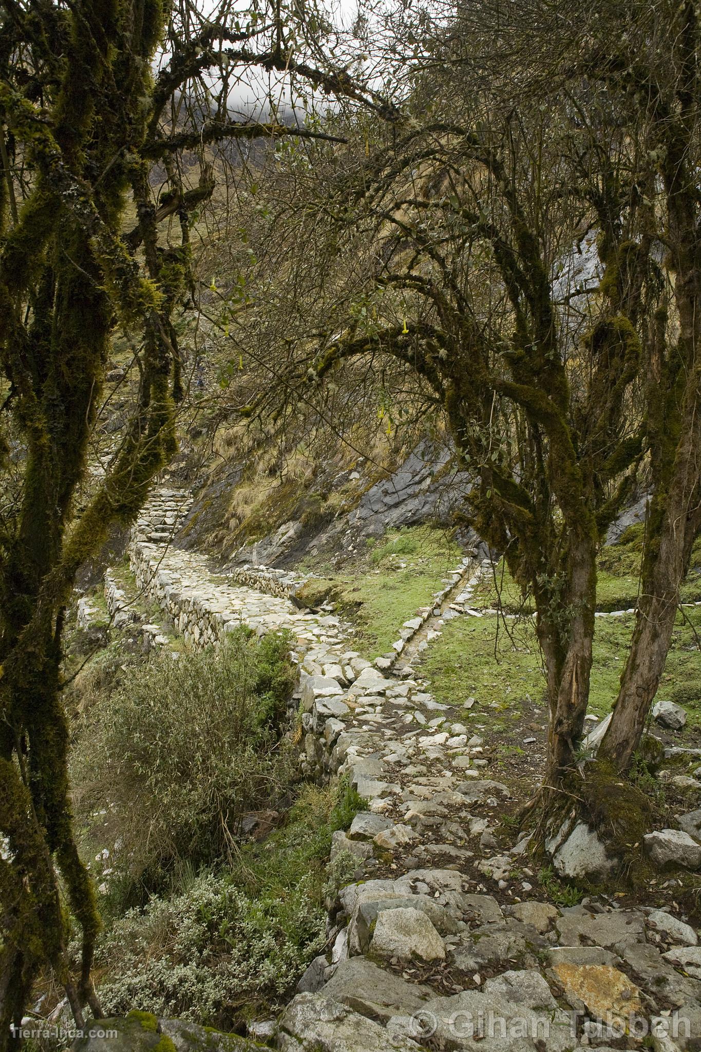 Trekking a Choquequirao