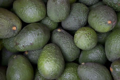 Palta hass