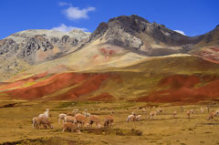 Paisaje de Pucapampa