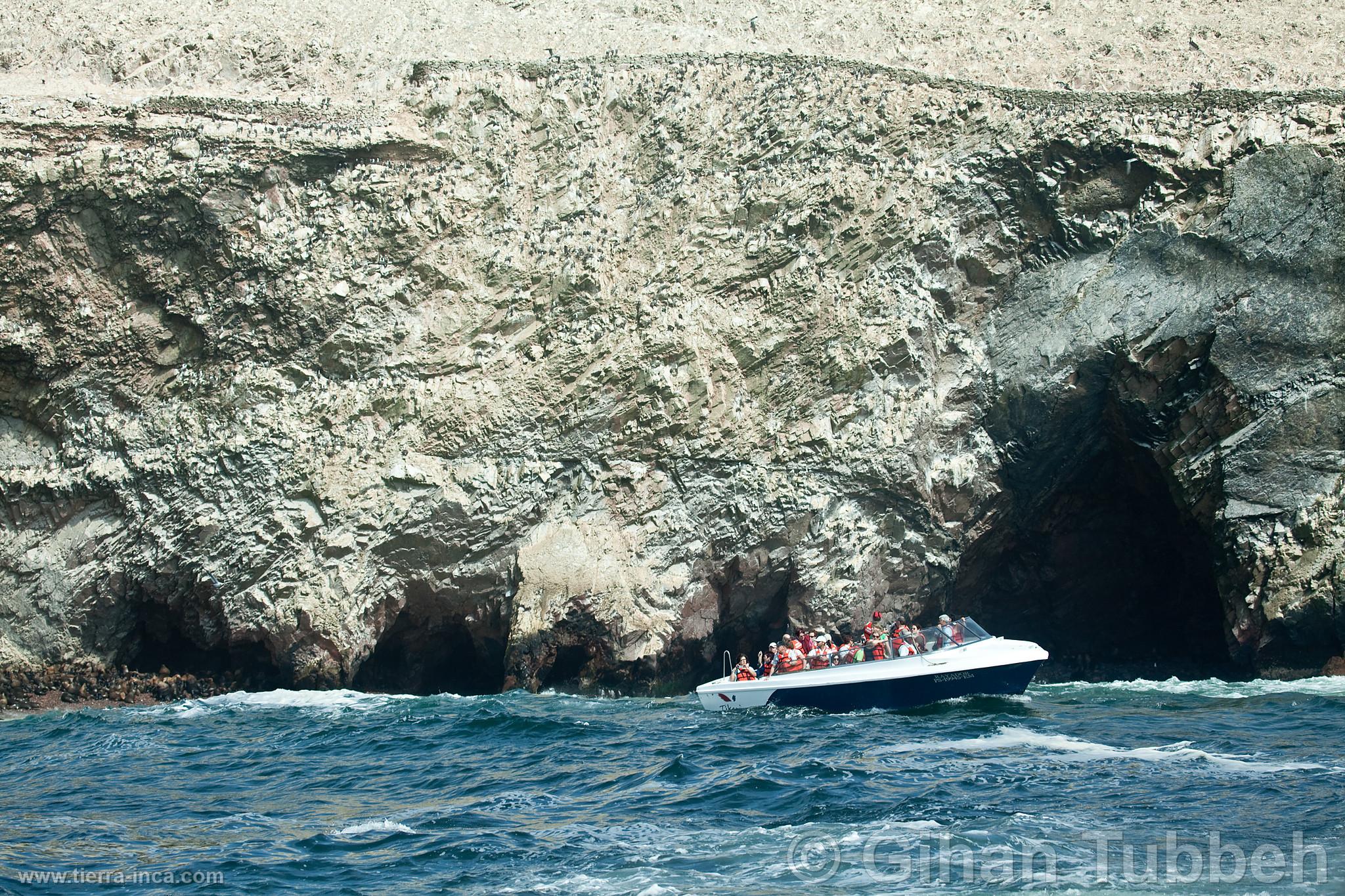 Turistas en tour a las Islas Ballestas