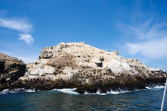 Islote de las Islas Palomino, Callao