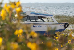 Bote en el Lago Titicaca