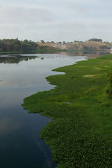 Estuario de Virril