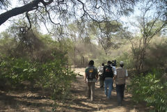 Bosque de Pómac