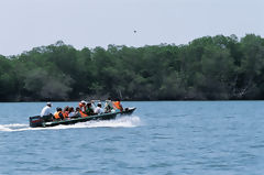 Turistas en los manglares de Tumbes