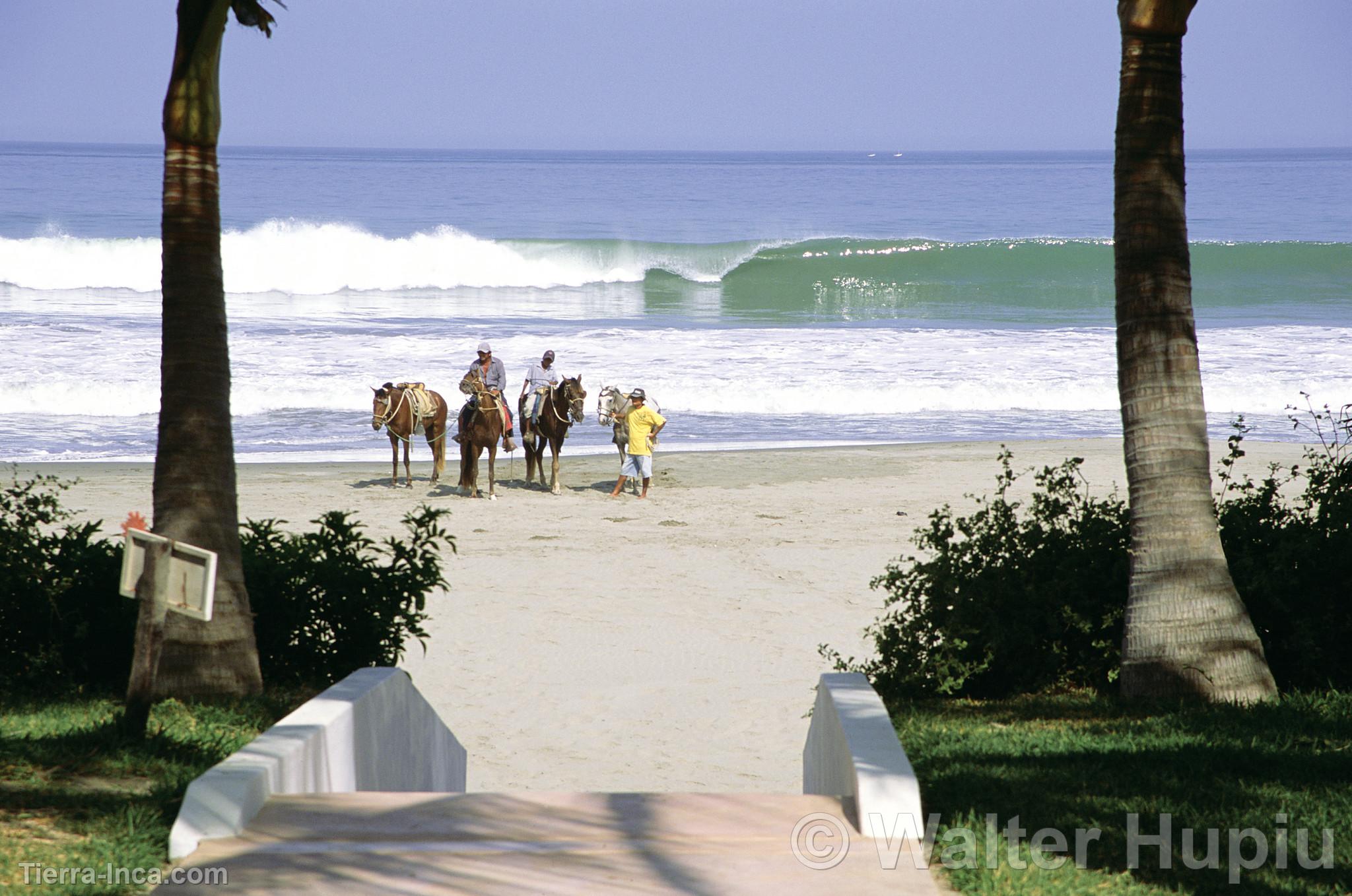 Paseos a caballo, Mncora